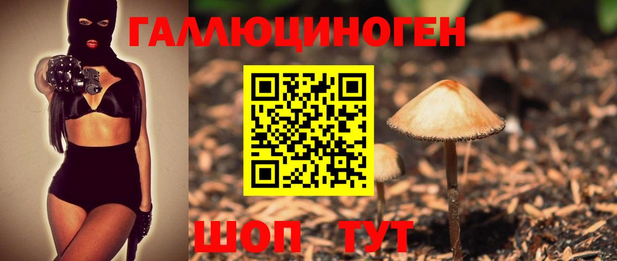 Галлюциногенные грибы мицелий  Вход с VPN  Мирный  Галлюциногенные грибы мицелий 