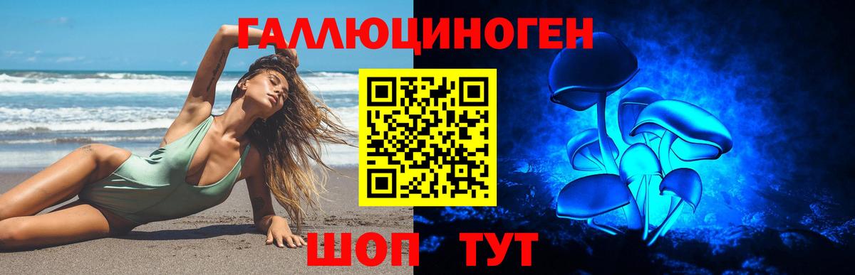 Галлюциногенные грибы мухоморы Мирный